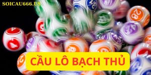 Cầu lô bạch thủ